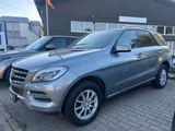 Mercedes-Benz ML 350 ML ML 350 CDI BlueTec - Mercedes-Benz ML 350: Cdi