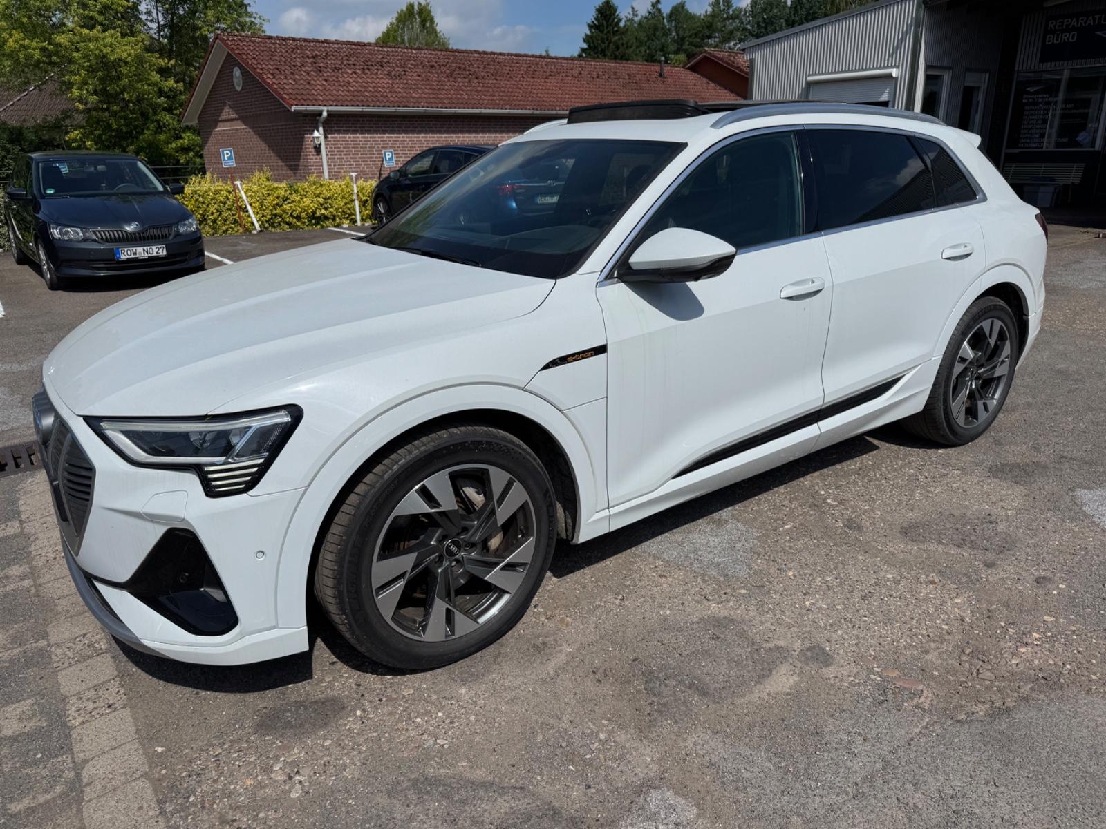 Audi e-tron 50 quattro S line Panorama/Head-up