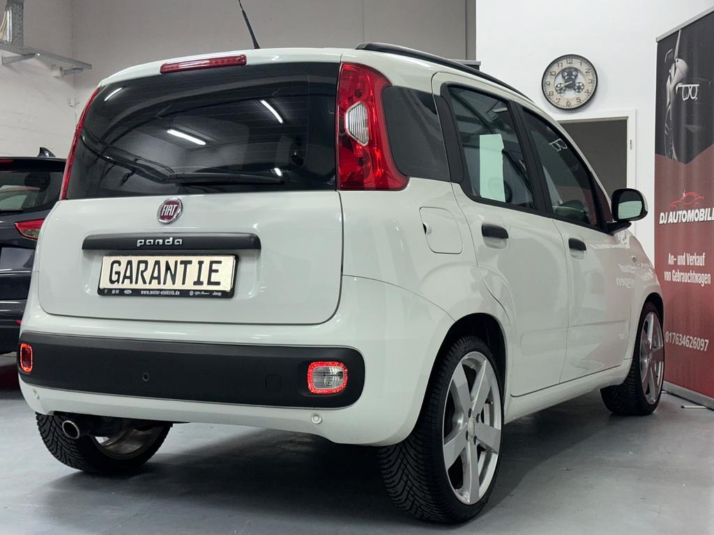 Fiat New Panda