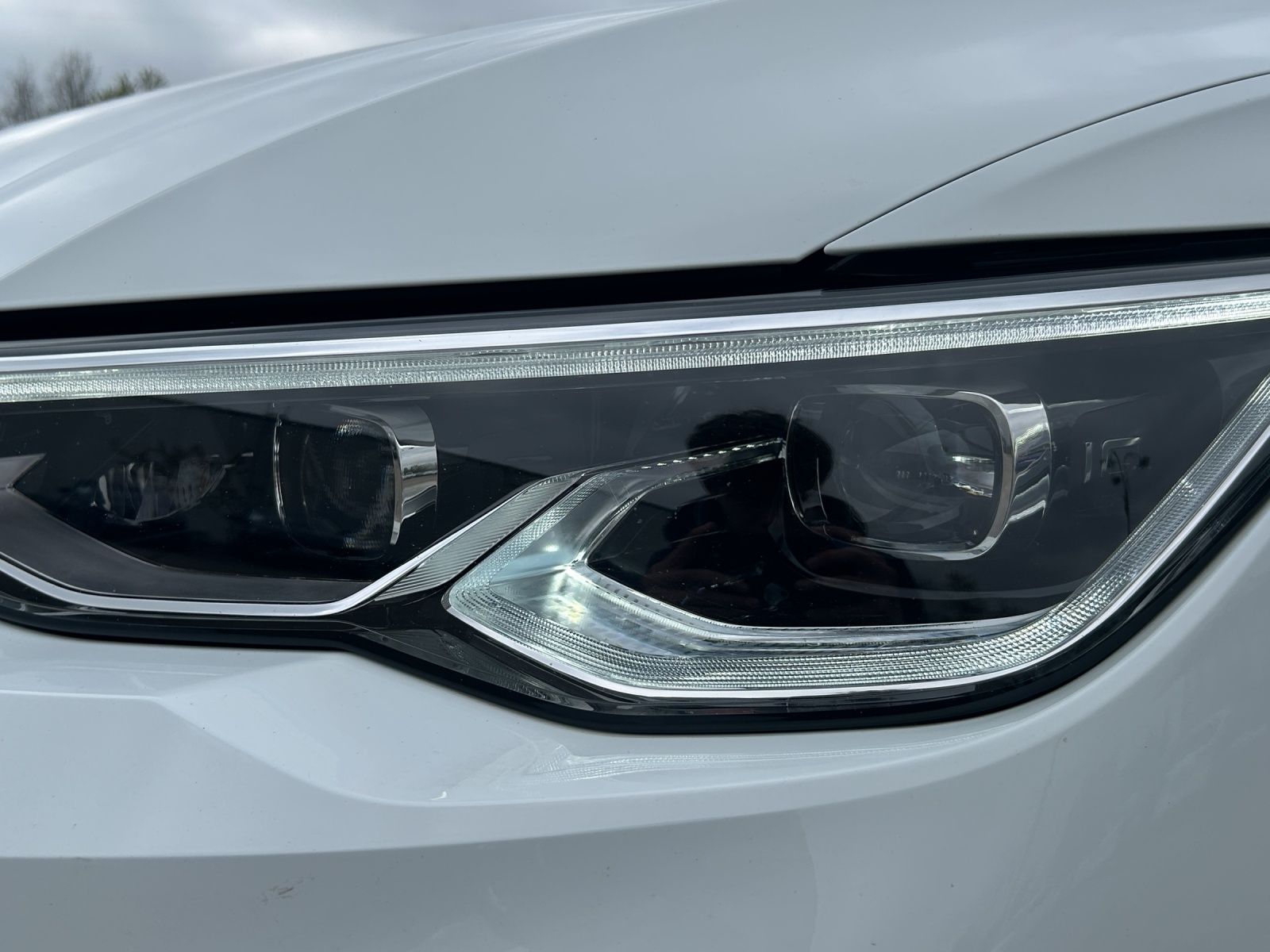 Fahrzeugabbildung Volkswagen Golf VIII Variant Alltrack TDI DSG IQ Light ACC
