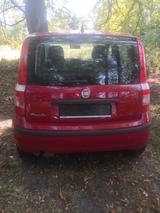 Fiat Panda - Fiat Panda: Rot