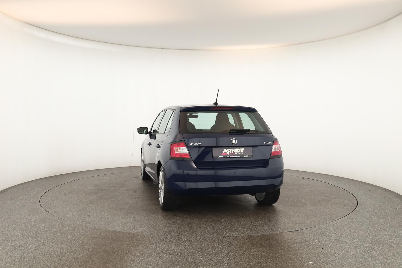 Skoda Fabia 1.0 TSI DSG Style Klima DAB SHZ ACC PDC 17
