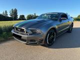 Ford Mustang - gebrauchte Ford Mustang aus dem Jahr 2014