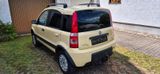 Fiat Panda 4x4 - Fiat Panda: Van