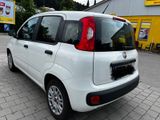 Fiat Panda 1.2  - Fiat Panda: Privatanbieter