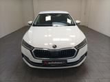 Skoda Octavia 2.0 TDI DPF Style AHK|Navi|CAM|Sitzhzg. - Skoda Octavia: Limousine