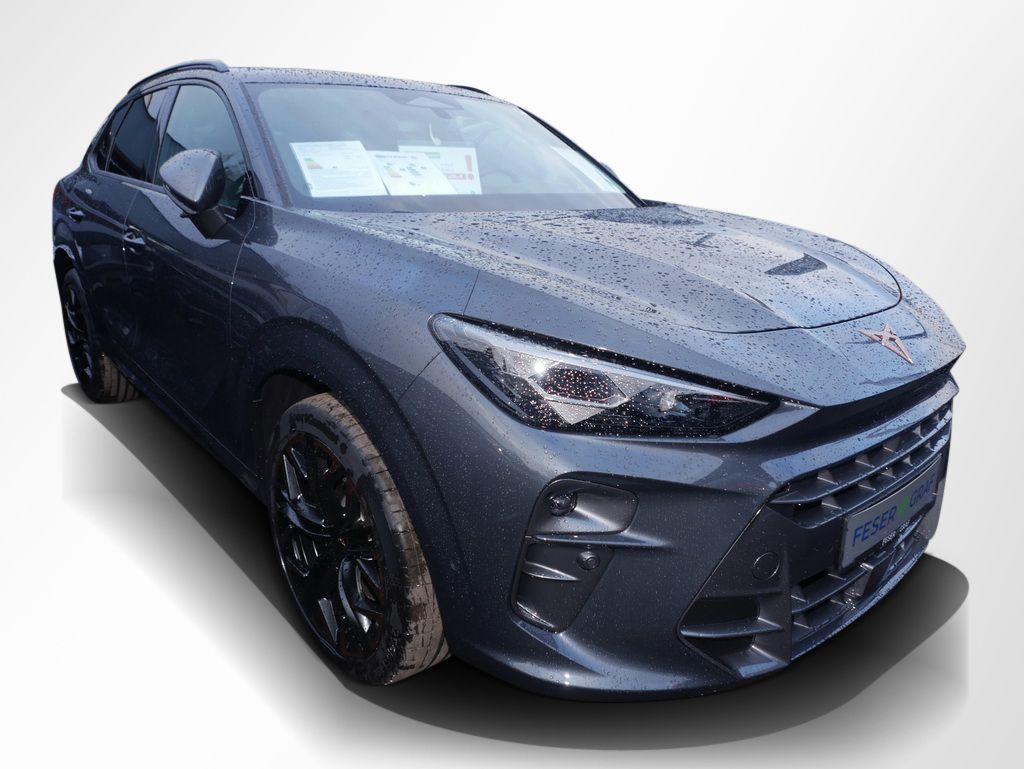 Cupra Terramar - Bild 5