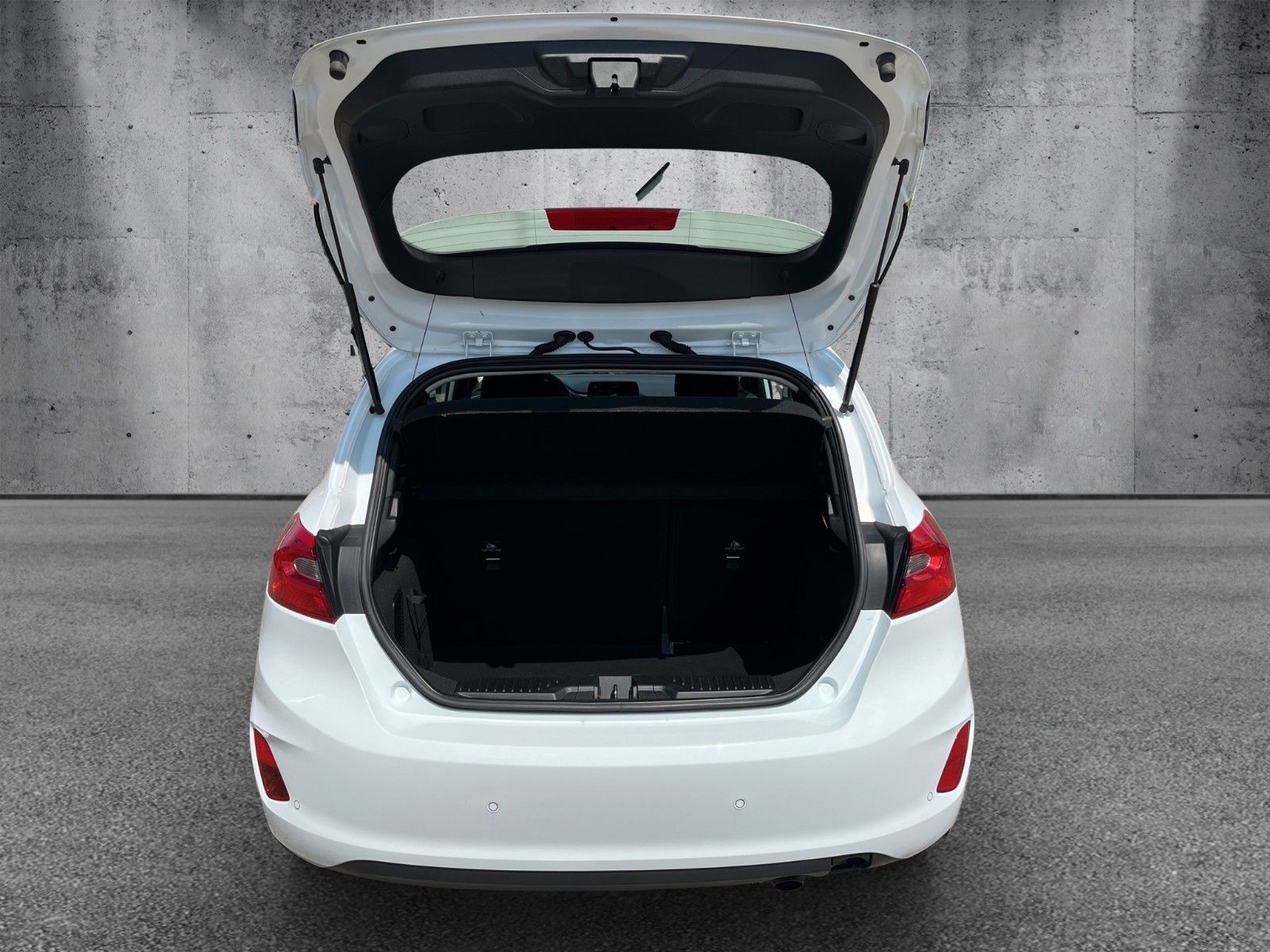 Fahrzeugabbildung Ford Fiesta Trend