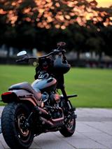 Harley-Davidson Clubstyle FXFBS Fatbob 114ci (5 HD) - gebrauchte Motorräder in Köln