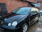 Volkswagen Vw Polo 1.2 Benzin - Volkswagen Polo aus 2004 mit Benzin-Antrieb: Kleinwagen, mit Klimaanlage, 1.2
