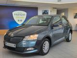 Skoda Fabia Cool Plus - Skoda Fabia Gebrauchtwagen in Freiburg