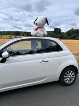 Fiat 500C 1.2 8V gepflegt - wenig km  - Fiat in Bielefeld