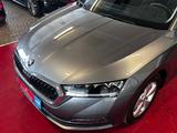 Skoda Octavia Combi Ambition//DAB//Garantie - Skoda Octavia: Allradantrieb