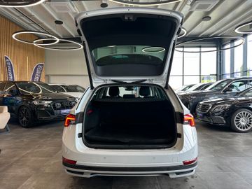 Skoda Octavia*Keyless*Matrix-LED*LenkradHZ*AHK*ACC*