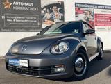 Volkswagen Beetle Cabriolet 1.2 TSI Cup SITZHZG. PDC V/H TE - gebrauchte Cabrios in Freiburg