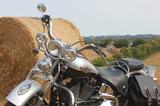 Harley-Davidson Heritage Springer 100th Anniversary 5HD... - HARLEY-DAVIDSON 2003 ANNIVERSARY