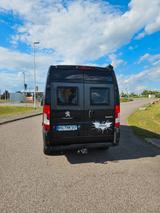 Bravia Swan 599 - Bravia Kastenwagen