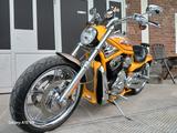 Harley-Davidson V Rod Screamin Eagle original Zustand  - HARLEY-DAVIDSON NAKED BIKE