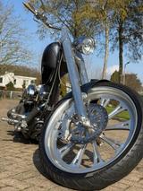 Harley-Davidson Fantasy off Terror ( Eigenbau)