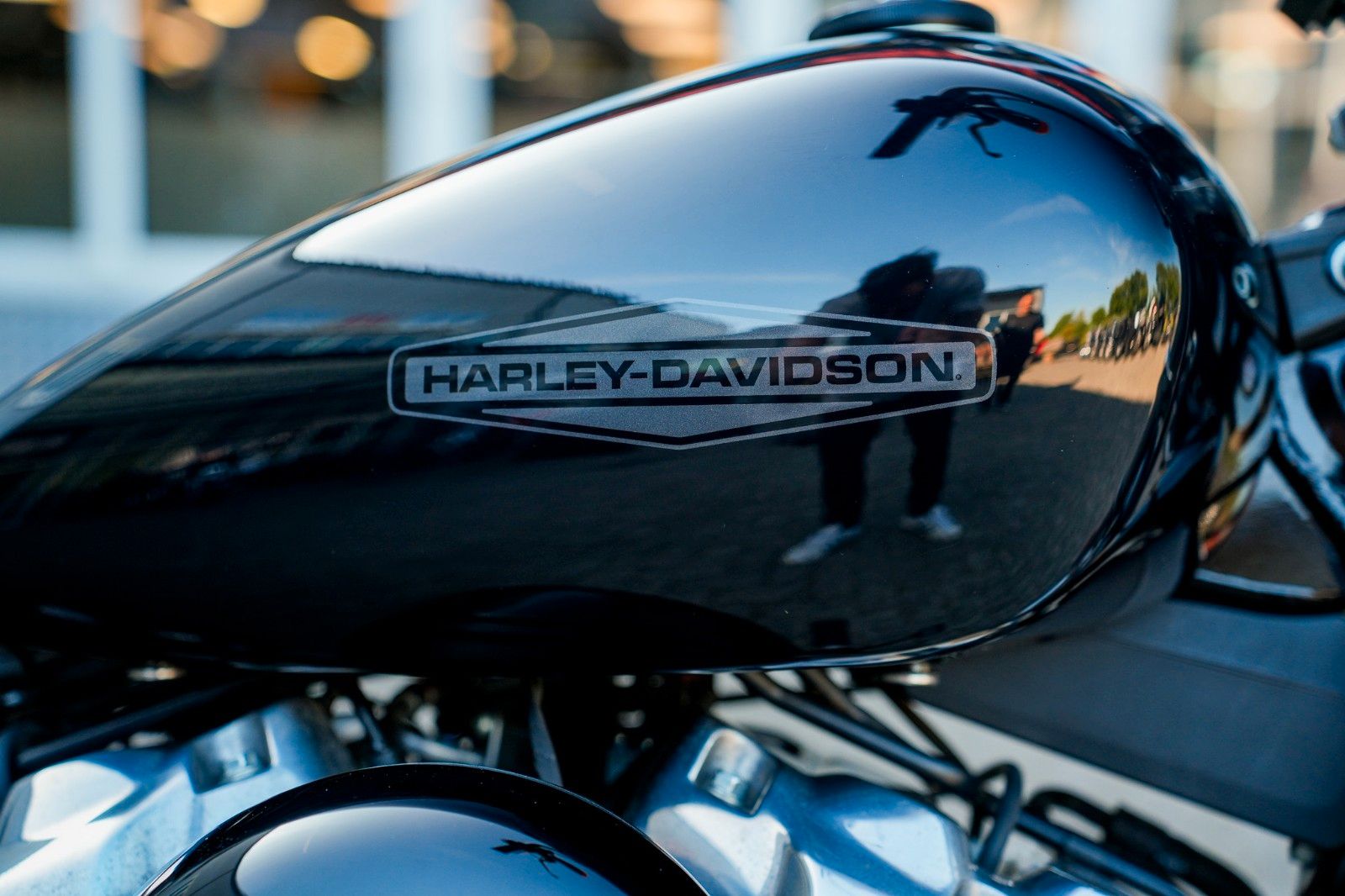 Fahrzeugabbildung Harley-Davidson FXST Softail Standard 107 cui - Soziuskit