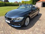 BMW 425d Cabrio Luxury Line | HUD | CarPlay | ACC - BMW 425 von privat