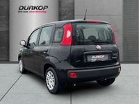 Fiat Panda - Vorschau Bild 3