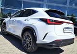 Lexus NX 450h+ Executive Interieur & Technologie-Paket - Lexus: Nx