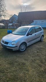 Volkswagen VW Polo  1.2liter  64PS - Volkswagen Polo aus 2004: 1.6