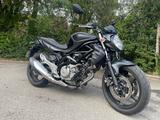 Suzuki Gladius SFV 650 ABS - Angebote