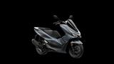 Honda PCX 125 2025 6 Jahre Garantie - HONDA ROLLER 125