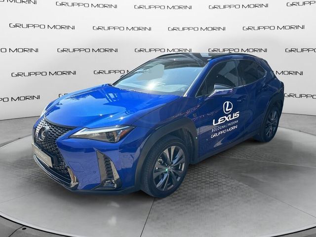 Altele Lexus UX Hybrid Design