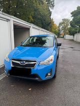 Subaru XV 1.6i Trend 4WD Trend - Subaru XV von privat