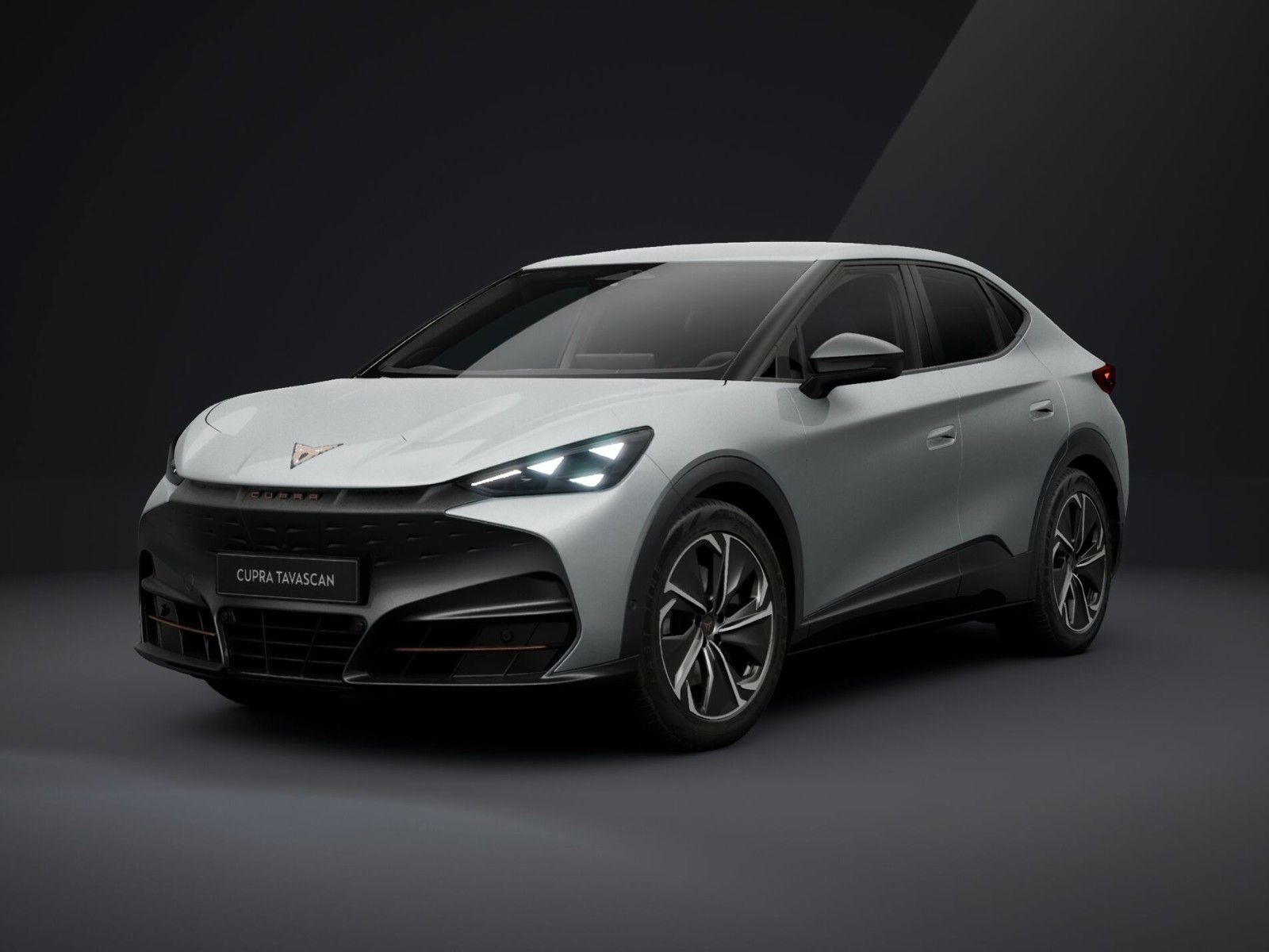 Cupra Tavascan 210 kW Endurance|AHK|Heat|360°