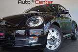 Volkswagen Beetle Lim. Design*PDC*FenderSound*KomfortPaket* - gebrauchte VW Beetle aus dem Jahr 2012