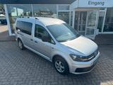 Volkswagen Caddy Maxi AHK Klima DSG - VW Caddy Gebrauchtwagen in Rostock