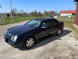 Mercedes-Benz CLK 200 KOMPRESSOR ELEGANCE Elegance - Mercedes-Benz CLK 200 aus 2001: Kompressor