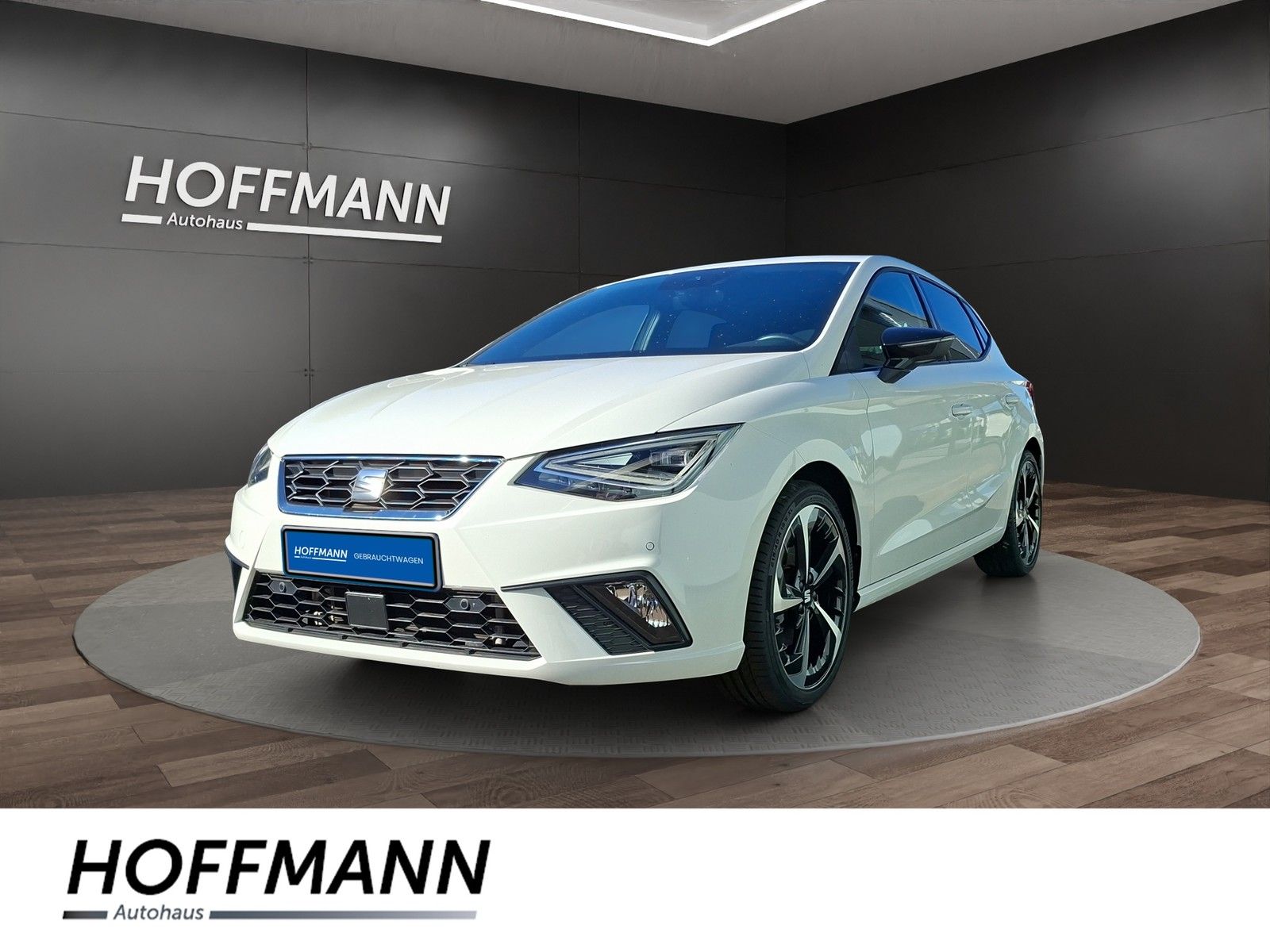 Fahrzeugbild von Seat Ibiza