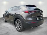 Mazda CX-30 "X" "Selection" "DES-P" "ACT-P" "BOSE" - Mazda Gebrauchtwagen in Berlin