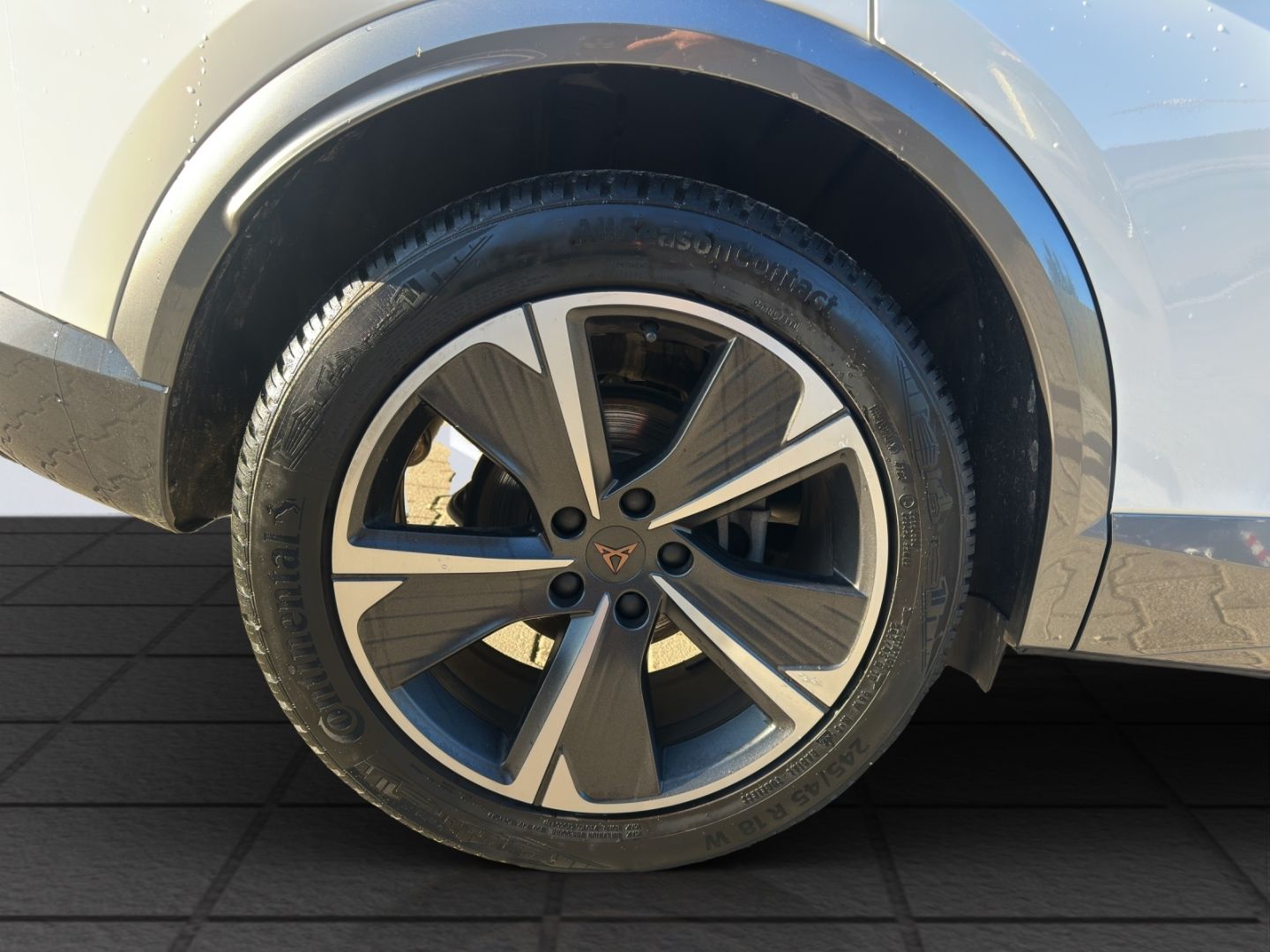 Formentor Basis 1.5TSI 110kW 6-Gang AHZV,LED, GJ