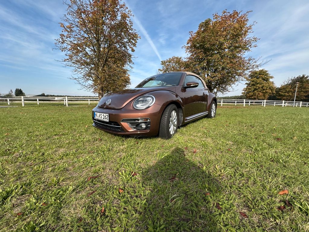 Image of Volkswagen Beetle