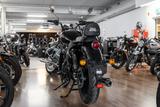 Royal Enfield Meteor 350 Stellar ABS, Euro 5+,sofort lieferbar - Royal Enfield Meteor 350 Stellar