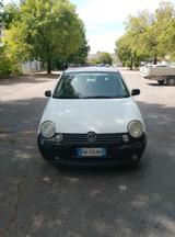 Volkswagen Lupo 1.0 cat - Volkswagen Lupo: Weiß