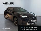 Lexus UX 250h Style Edition *Bi-LED*ACC*CAM*SHZ*CarPla - Lexus UX aus 2022
