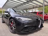 Alfa Romeo Giulia Veloce Q4 Aut.|LEDER|NAVI|ACC|XENON|1.HA - Alfa Romeo aus 2020