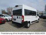 Fiat Ducato Luxusbus Panorama L2H2*9-Sitze*Kamera*DAB - Fiat Ducato: Luxusbus Panorama