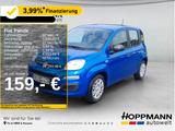 Fiat Panda 1.0 Mild-Hybrid *Klima*PDC*5sitzer* - Fiat Panda Jahreswagen