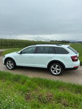 Skoda Octavia 1.8 TSI DSG 4x4 Scout Combi Scout - Skoda Octavia: Allradantrieb, 1.8
