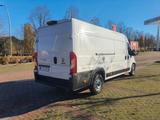 Fiat Ducato Maxi Grossr.-Kasten 35 140 L5H2 RS: 4035 - Fiat Ducato: L4h3