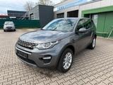 Land Rover Discovery Sport SE AWD*Panorama*Meridian*Kamera - gebrauchte Land Rover Discovery Sport aus dem Jahr 2018