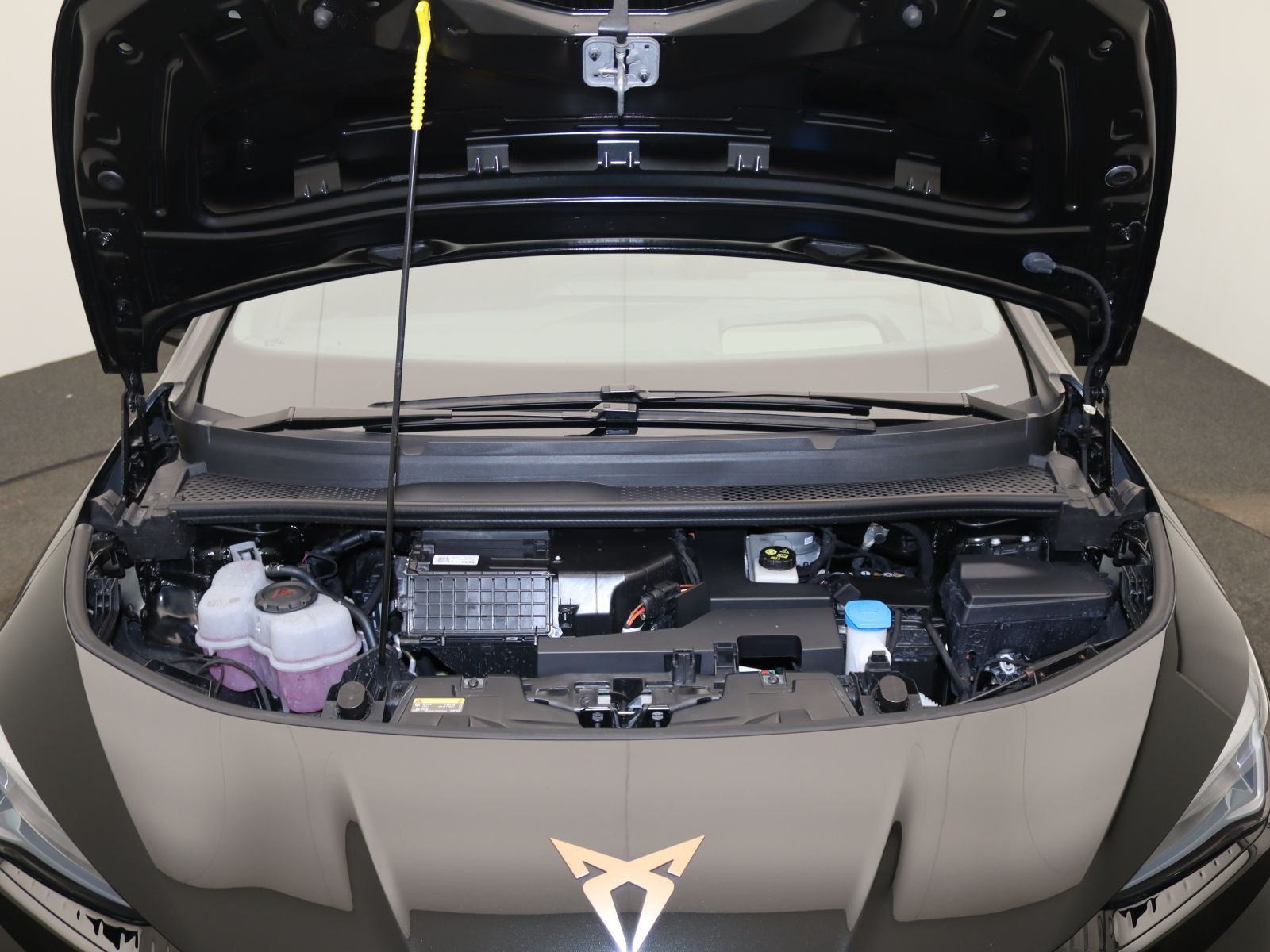 Cupra Born - Bild 19